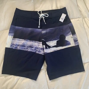 GAP Brian Bielmann Swim Summer Shorts Swimming Trunks Surfer Size Large New - Picture 1 of 12