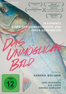 DAS UNMÖGLICHE BILD - WOLLNER,SANDRA   DVD NEW - Imagen 1 de 1