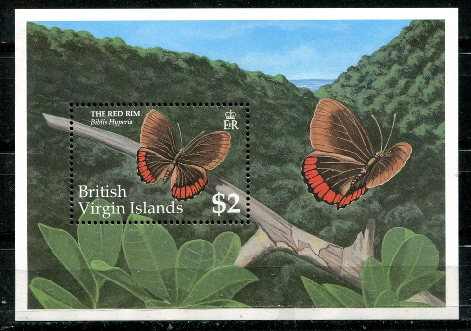 VIRGIN ISLANDS 1991 年,蝴蝶“红色 RIM”Scott 720 S/S,全新邮票 — 第 1/1 张图片