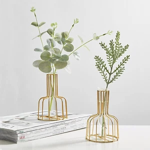 2 Pcs Gold Flower Vase with Metal Frame, Clear Glass Test Tube Vases Decorative, - Picture 1 of 12
