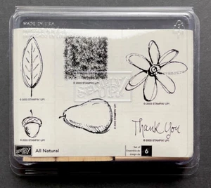 2003 Stampin Up "Todo Natural" Set de 6 Estampillas Flor Pera Hoja de Bellota Gracias - Imagen 1 de 7