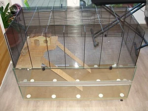 mobiler Hamsterkäfig + Nagarium 100x 50cm - Bild 1 von 6