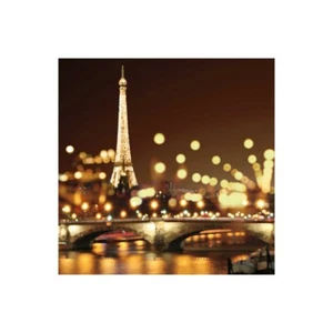 Impression sur Toile Papier Affiche Ou Peinture Carrigan Kate City Lights-Paris - Imagen 1 de 2