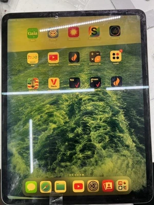 Ipad Pro 12.9 (3rd Gen) Touch Screen Digitizer Display LCD READ - Image 1 of 2