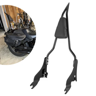 Respaldo barra Sissy apto para Harley Touring Road Glide Street Road King CVO 09-UP Foto 1 de 4