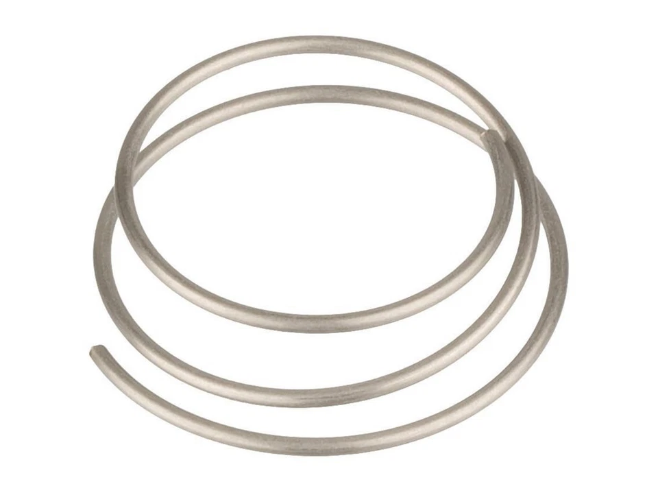 DT Swiss 240s/350 Star Ratchet Hub Spring - image 1 of 1