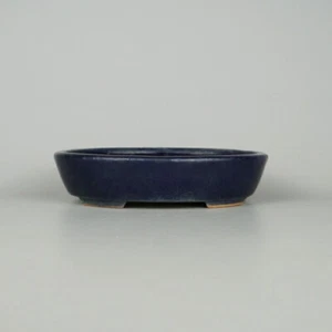 Bonsai Pot Tokoname Hattori Small 16.5cm Oval Glaze Navy Used from Japan - Picture 1 of 6