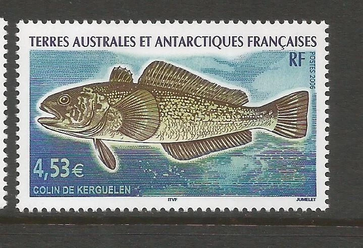 FRENCH ANTARCTIC 2006 FISH, HAKE.  MINT NEVER HINGED. - Image 1 of 1
