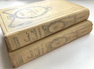 Beautiful Antique Vintage French Books 2 Tomes - Sans Famille By Hector Malot - Picture 1 of 9