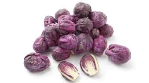 500+ Redarling Brussels Sprouts Seeds for Garden Planting - USA - FREE SHIPPING! - Picture 1 of 1
