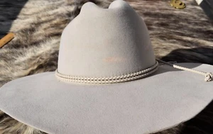 Stetson 4X Beaver Silverbelly Felt Hat 3 3/4 Inch Brim Size 7 1/8 - Picture 1 of 24
