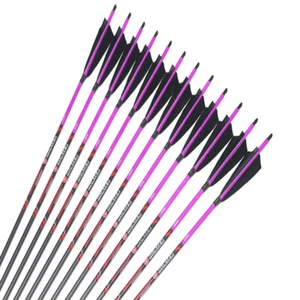 12pcs Archery Carbon Arrows Spine250-600 ID6.2mm 5"Turkey Feather Traditionl Bow - Picture 1 of 6