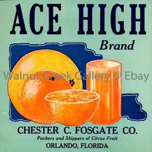 Florida Fruit Crate Label Fine Art Print, Juice, approx 10.8" x 10.8" 12874 - Picture 1 of 1