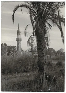 Una mezquita típica Sinaí Suez foto original guerra de Yom Kippur 1973 Israel FDI Zahal - Imagen 1 de 2
