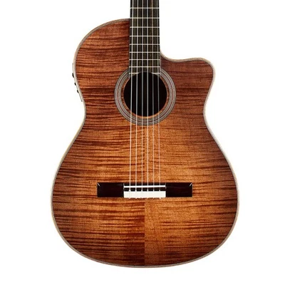 Cordoba Fusion 12 Nylon String A/E Guitar - Cinnamon Burst - Open Box - Image 1 of 4