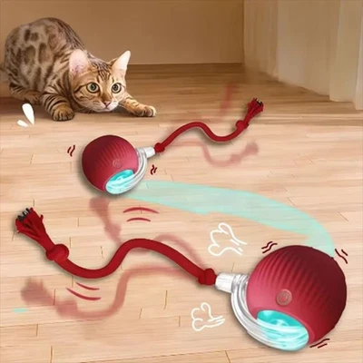 Interactive Cat Toy Ball Motion Activated Rolling with Bird Sounds