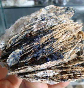 Baryte, Azurita, Tétraédrites, Usclas Del Bosc, Lodève, Herault (34 ), Francia - Picture 1 of 10