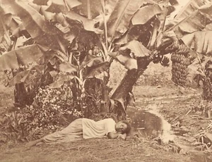NEW CALEDONIA original 1878 ALBUMEN PHOTO by HUGHAN, ST LOUIS MISSION PLANTATION - Picture 1 of 2