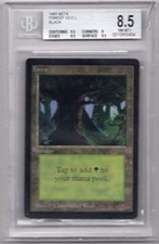 BETA FOREST X1  MAGIC Mtg  NEAR MINT-MT+ 8.5  (NM-MT 8.5) 1993