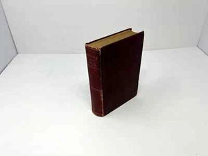 Thelma A Norwegian Princess by Marie Corelli - A L Burt Publisher VINTAGE 1904 - Foto 1 di 3