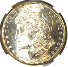 1882 S Morgan Silver Dollar Choice Bu  White  Cameo  Free Shipping