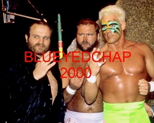 FOTO DE LUCHA LIBRE OLE &ARN ANDERSON & STING WRESTLER 8 X 10 WWF WCW NWA Foto 1 de 1