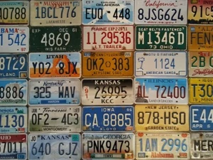 Starter Pack of 10 License Plates Different Variety Craft LOT TRUSTED Collection - Picture 1 of 1
