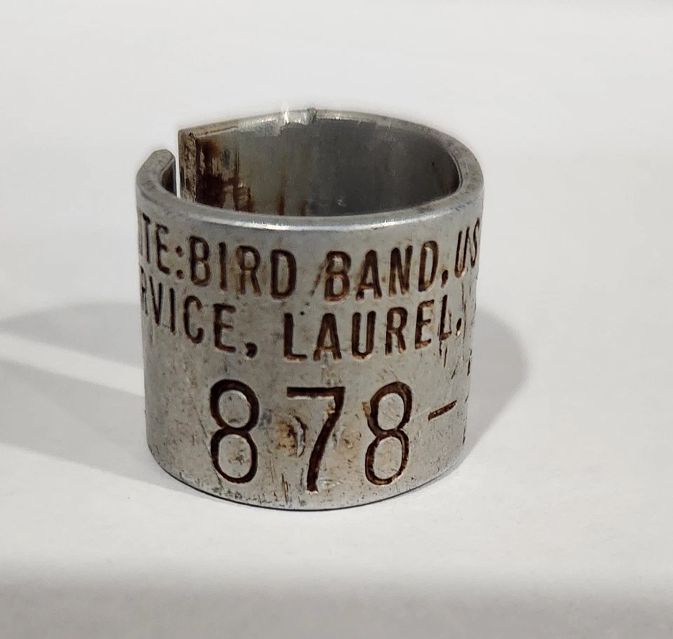 878 Prefijo Federal Canada Ganso Banda Avise Pato Pájaro Foto 1 de 1