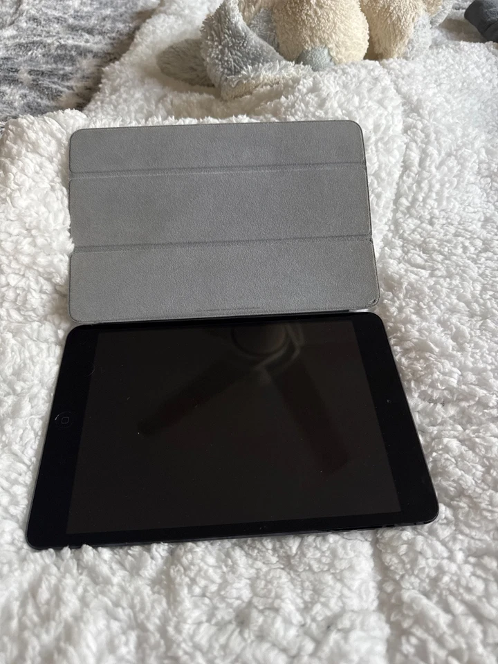 Apple mini ipad/ 黑色 状况良好  — 第 1/1 张图片