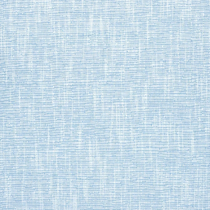 Thibaut Textured Indoor Outdoor INSIDE OUT Fabric- Piper / Sky REMNANT 22"x76" - Image 1 of 1