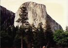 A View Of Yosemite California Found Photograph Color Original Vintage 312 60 K