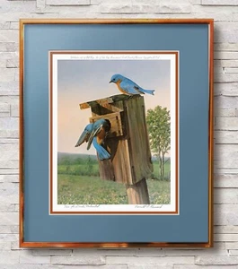 Estampado Terrill Knaack "Bluebirds" para Patos Ilimitados. número 3 de 30 - 1978 - Imagen 1 de 16