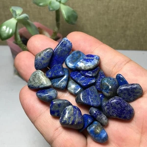 23 Piezas Rebanada de Cristal de Lapislázuli Natural Piedras Preciosas Muestra Mineral 55g A1242 - Imagen 1 de 8