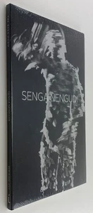 Senga Nengudi - Imagen 1 de 1