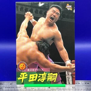 Junji Hirata BBM Pro Wrestling Card TCG Vintage Japanese #9 - Picture 1 of 8