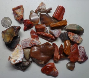 WRG- Rainbow Wood Honey Agate Petrified Wood Jasper Tumbled Specimen 5.5 Oz - Picture 1 of 2
