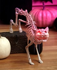 Suono Attivazione Meowing Scheletro Gatto W/Illuminato Occhi Halloween Sostegno