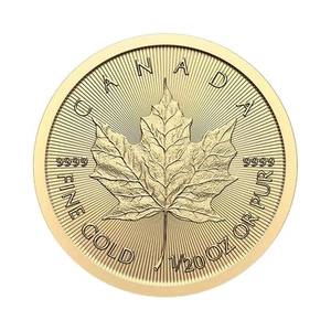 2025 $1 Gold Canadian Maple Leaf .9999 1/20 oz Brilliant Uncirculated - Picture 1 of 3