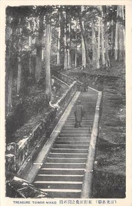 CPA JAPON TREASURE TOWER NIKKO - Picture 1 of 1