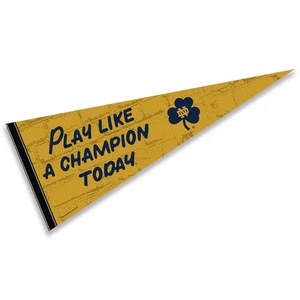 Irish Play Like A Champion NCAA College Pennant - Picture 1 of 4