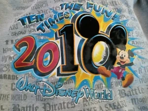 DisneyLand Adult Small Gray Hoodie Mickey Mouse 2010 Pullover Hoodie Sweatshirt - Picture 1 of 11