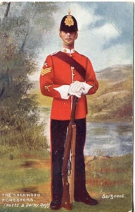 Sherwood Foresters Sergeant Notts & Derby vintage Tuck Oilette postcard - Picture 1 of 2