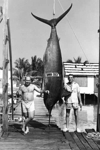 Atlantic Blue Marlin 1947 Angeln 4x6 Foto - Bild 1 von 1
