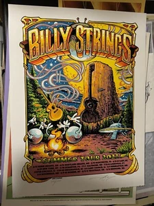 Billy Strings Poster Summer Tour 2022 AJ Masthay LE SE #1294/1500 - Picture 1 of 3