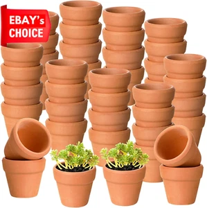 100 Pcs Mini Terracotta Clay Pots with Drainage Holes Succulent Nursery Planters - Picture 1 of 12