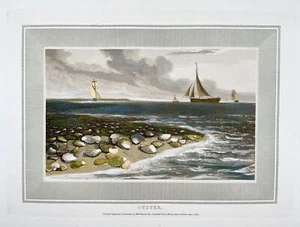 1809 William Daniell, Oysters, marine, hand coloured aquatint, aquatic - Foto 1 di 3