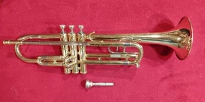 Used GETZEN 300 Series Trumpet Brass Soft Case and Mouthpiece - Picture 1 of 11