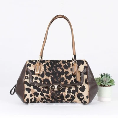 蔻驰麦迪逊奥塞洛豹纹挎包 — 第 1/4 张图片