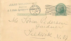 United States Albany New York state agricultural department correspondence 1916 - Picture 1 of 2