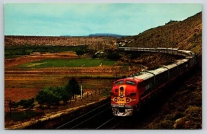 Santa Fe RR Chief Deluxe Train in San Joaquin Valley, CA Fred Harvey postcard - Picture 1 of 3